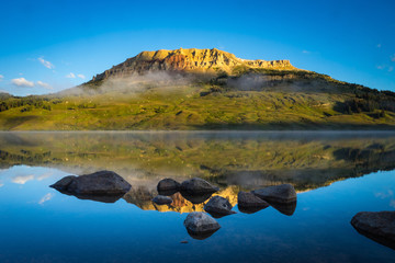 主持人张杰真实年龄多大了?