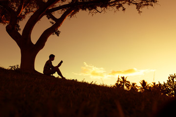 阳台花架哪种实用又好看